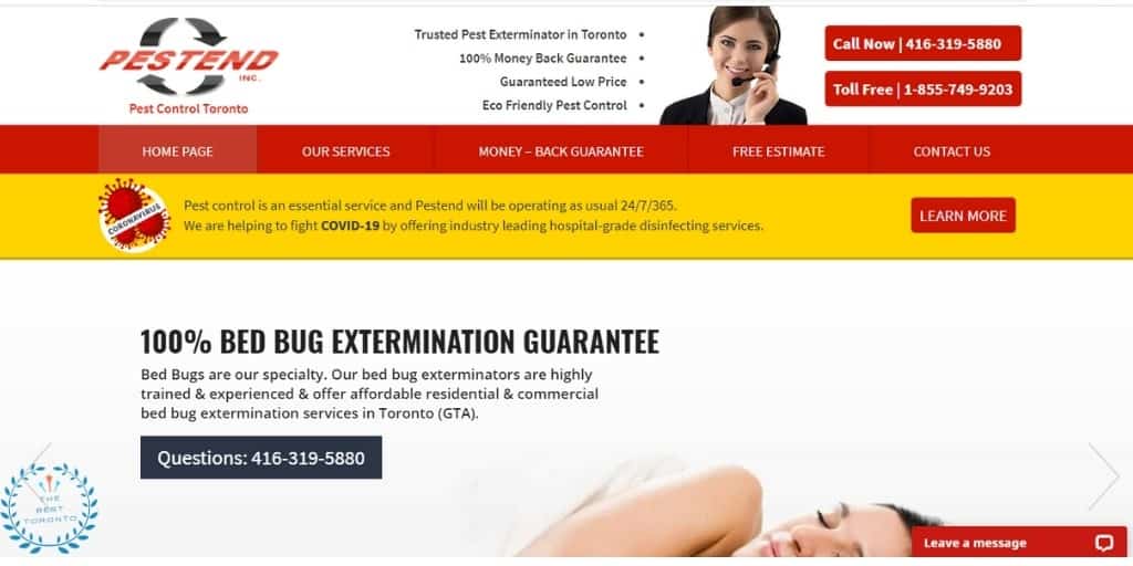 Pestend Pest Control's Homepage