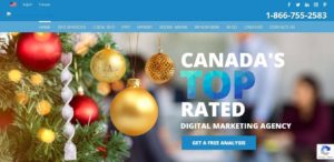 Bluehat Marketing's Homepage
