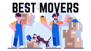 Best Movers in Toronto