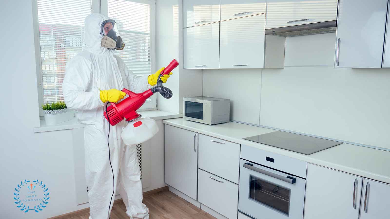 Best Pest Control in Toronto