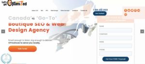 Let's Get Optimized's Homepage