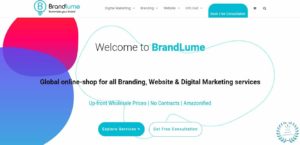 BrandLume Inc.'s Homepage