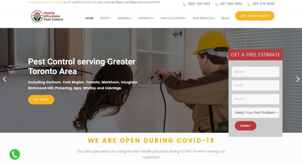 Quality Affordable Pest Control Toronto's Homepage