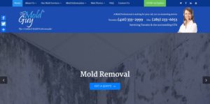 The Mold Guy's Homepage