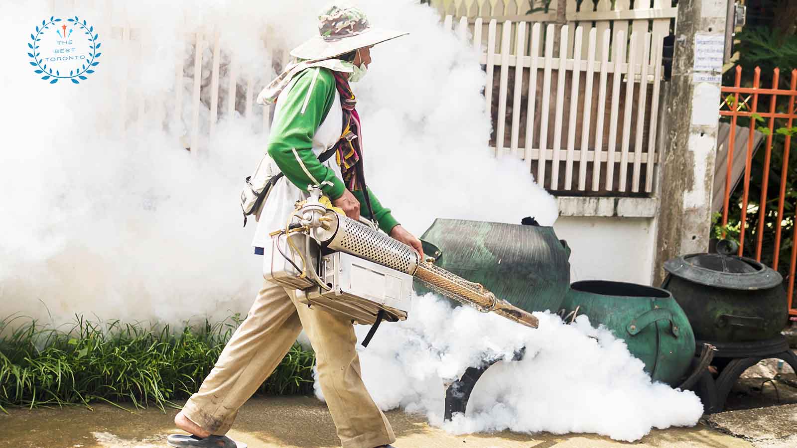 Best Bed Bug Exterminators in Toronto