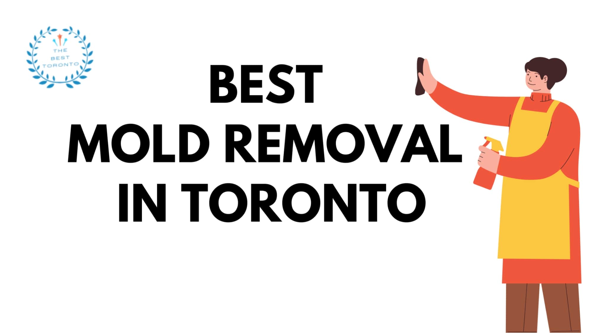 Best Mold Removal in Toronto