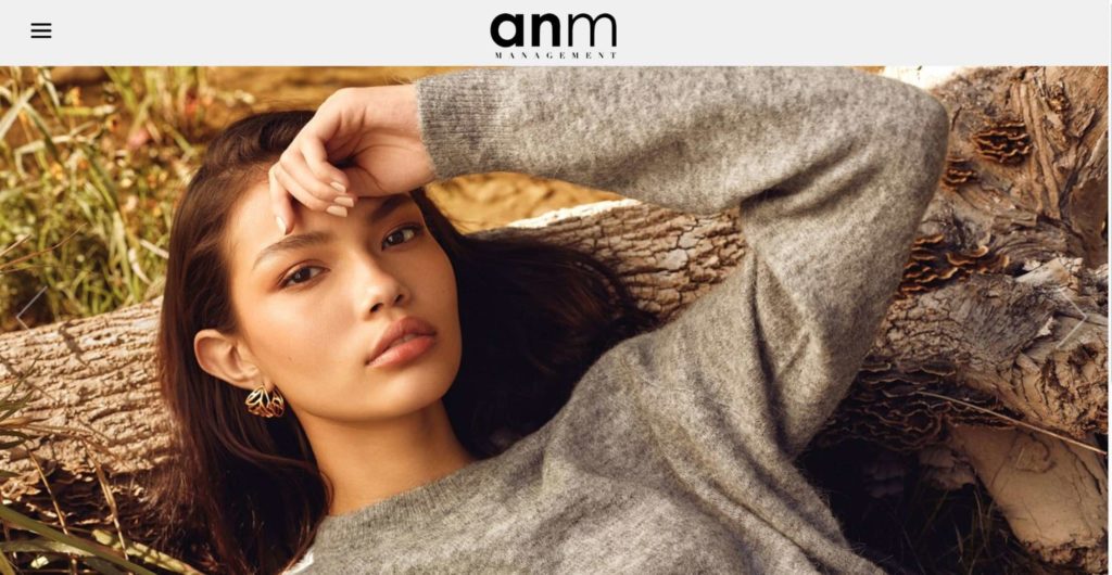 ANM Management's Homepage