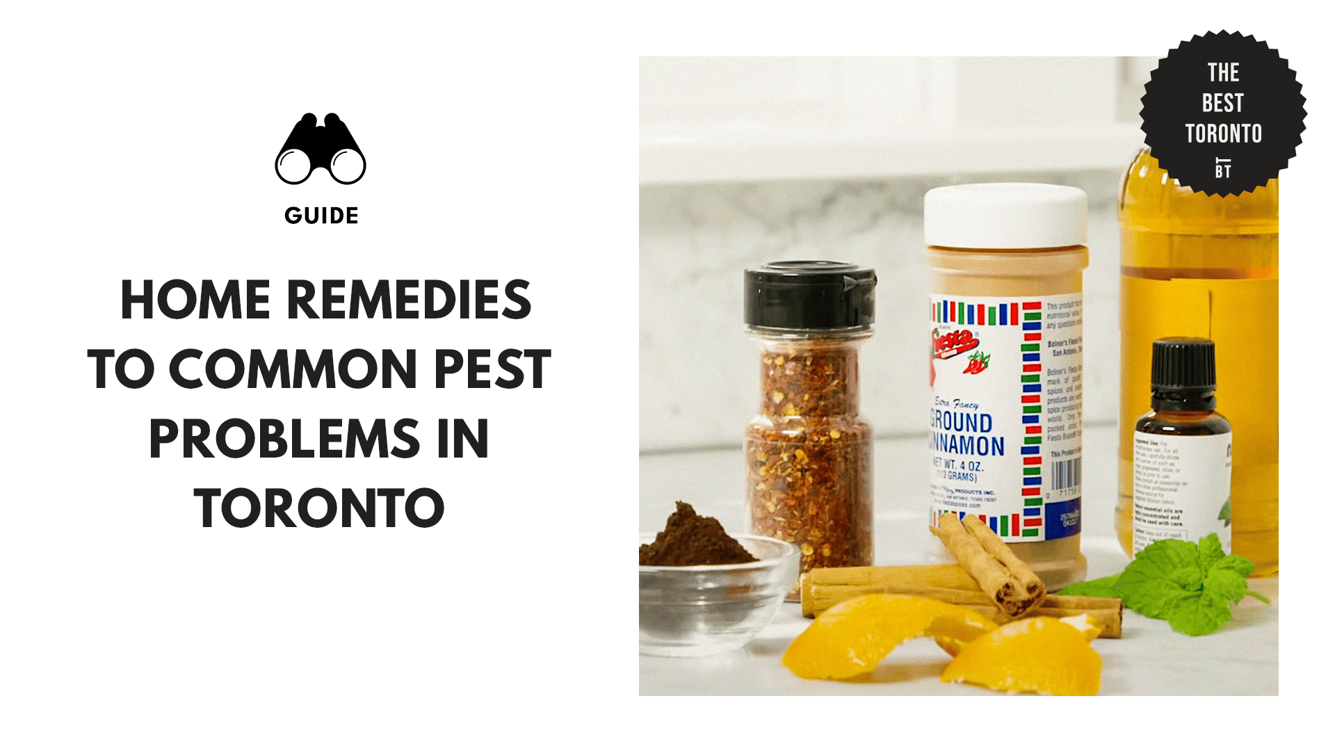 pest-problem-remedies-toronto