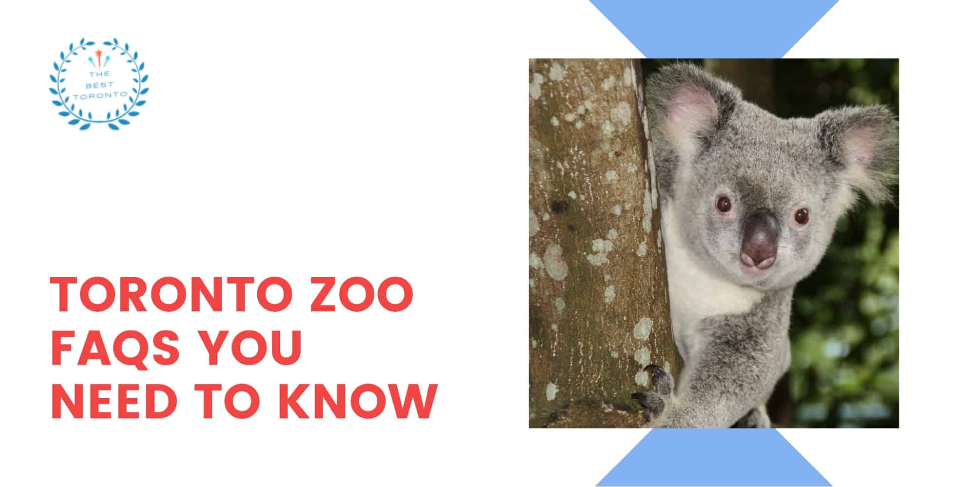 Toronto Zoo FAQs You Need to Know