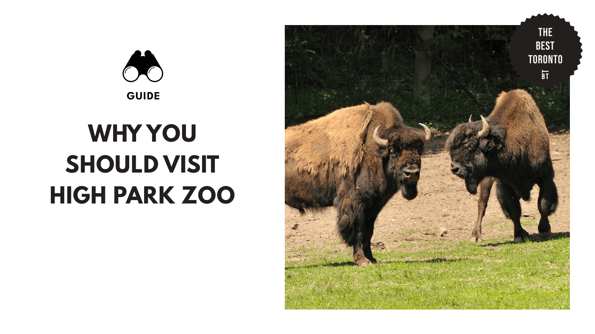 High Park Zoo Reviews