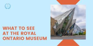 What to Check Out at the Royal Ontario Museum