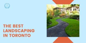 Best Landscaping Companies
