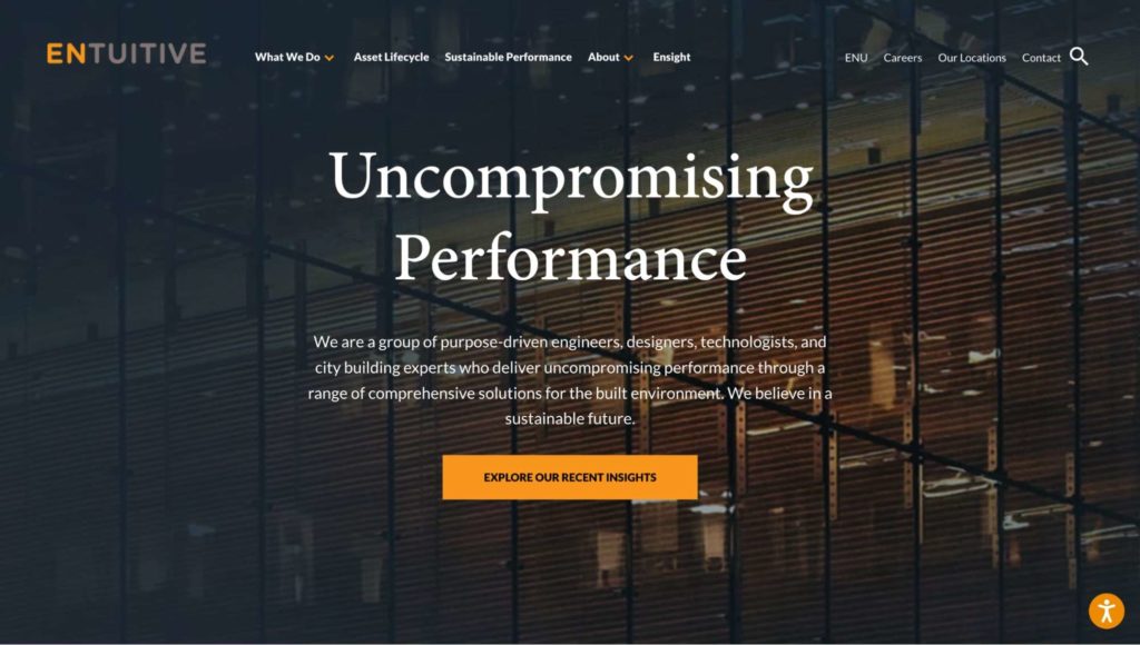 Entuitive Homepage