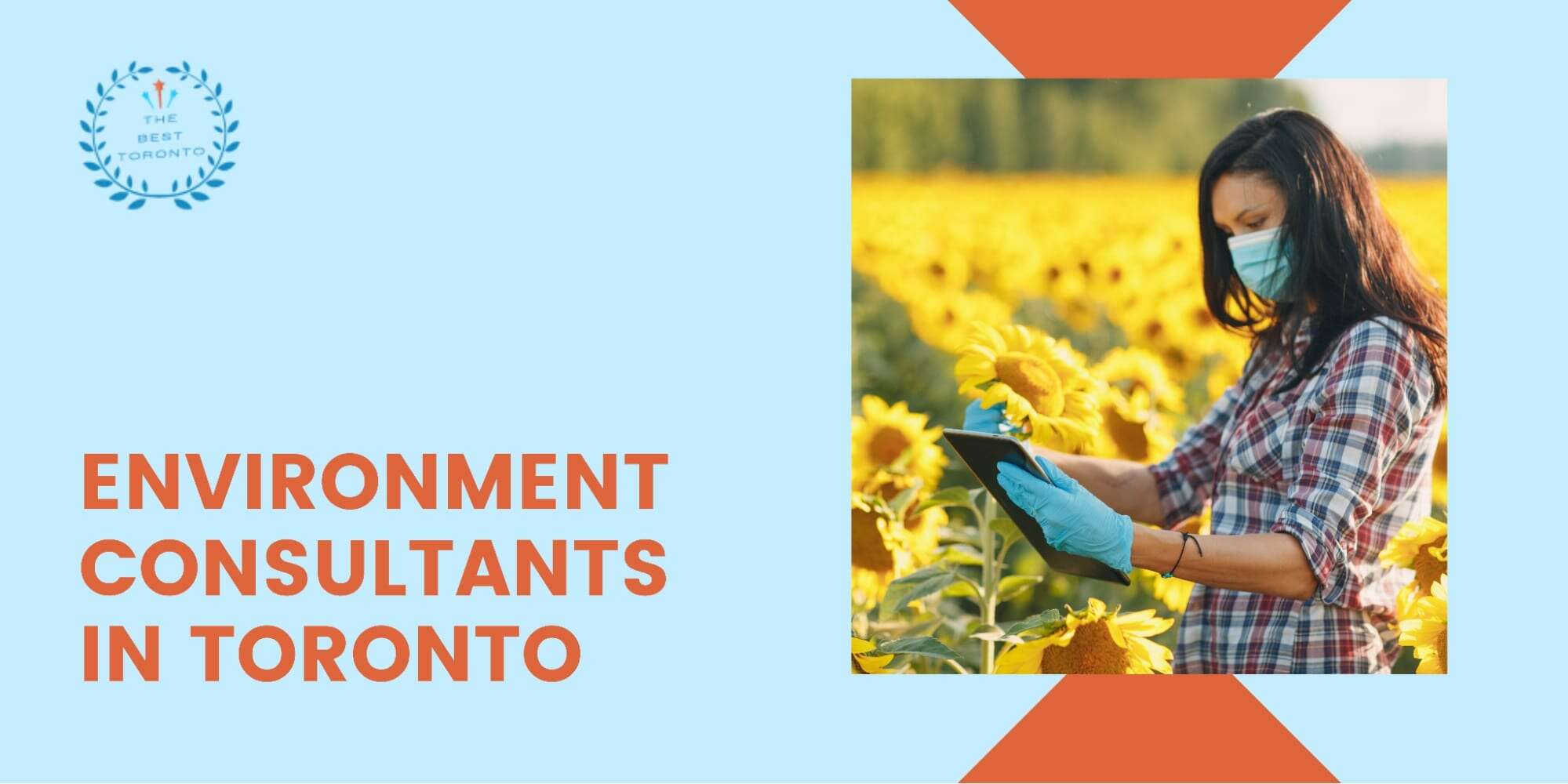 Environmental Consulting