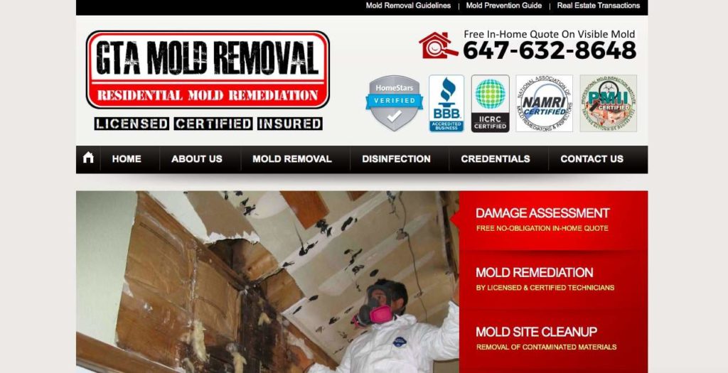GTA Mold Removal Homepage