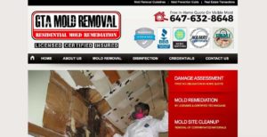 GTA Mold Removal Homepage