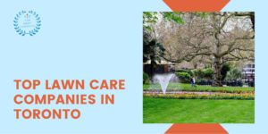 Lawn Care Companies in Toronto