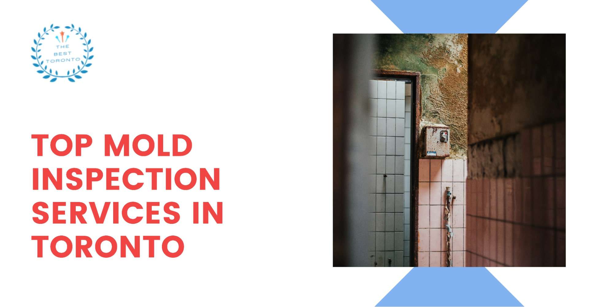 Mold Inspection Services in Toronto