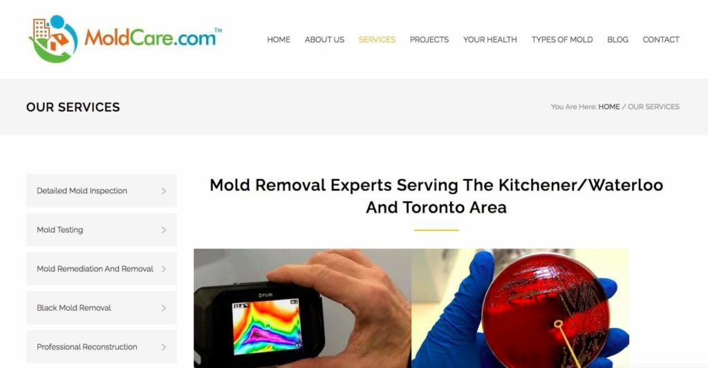 MoldCare