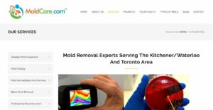 MoldCare