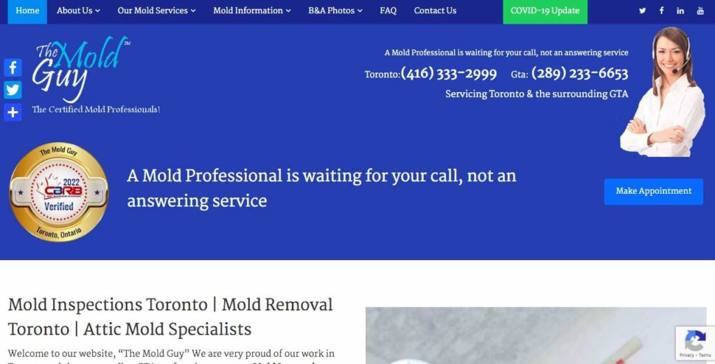 The Mold Guy Homepage