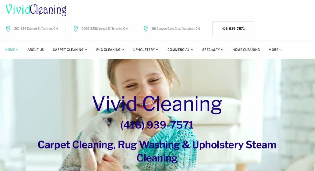Vivid Cleaning Homepage