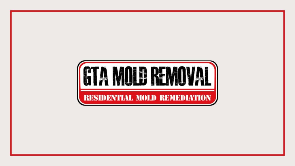 gta-mold-removal