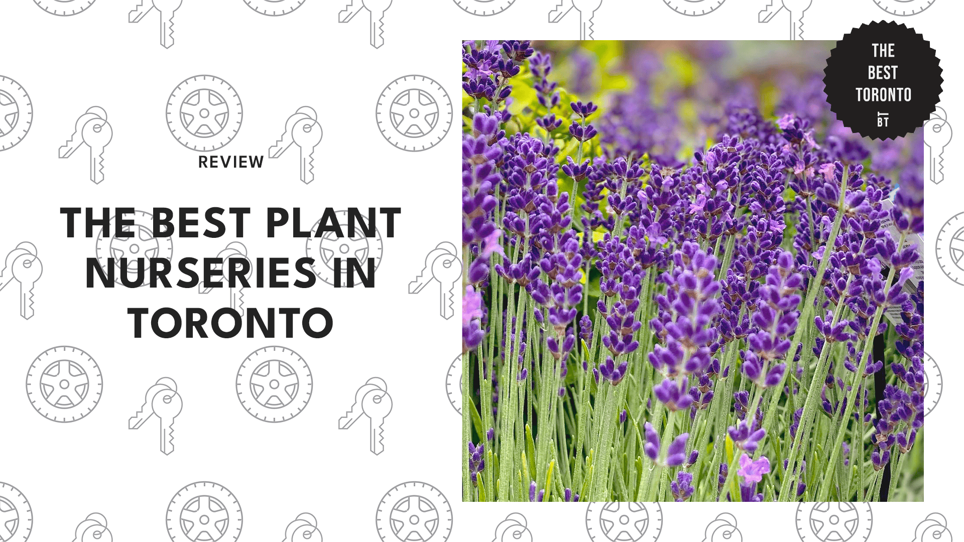 nursery-in-toronto