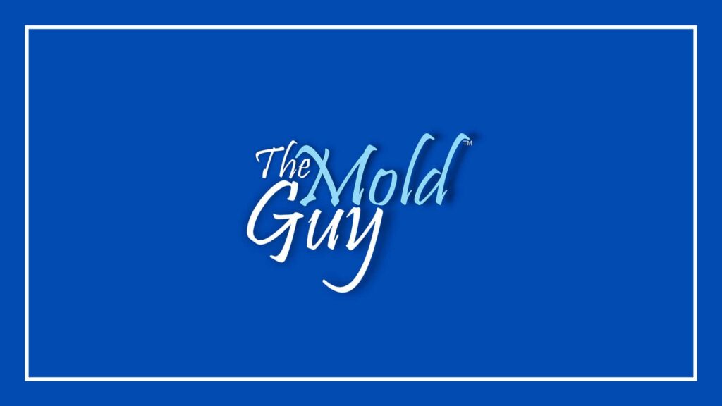 the-mold-guy