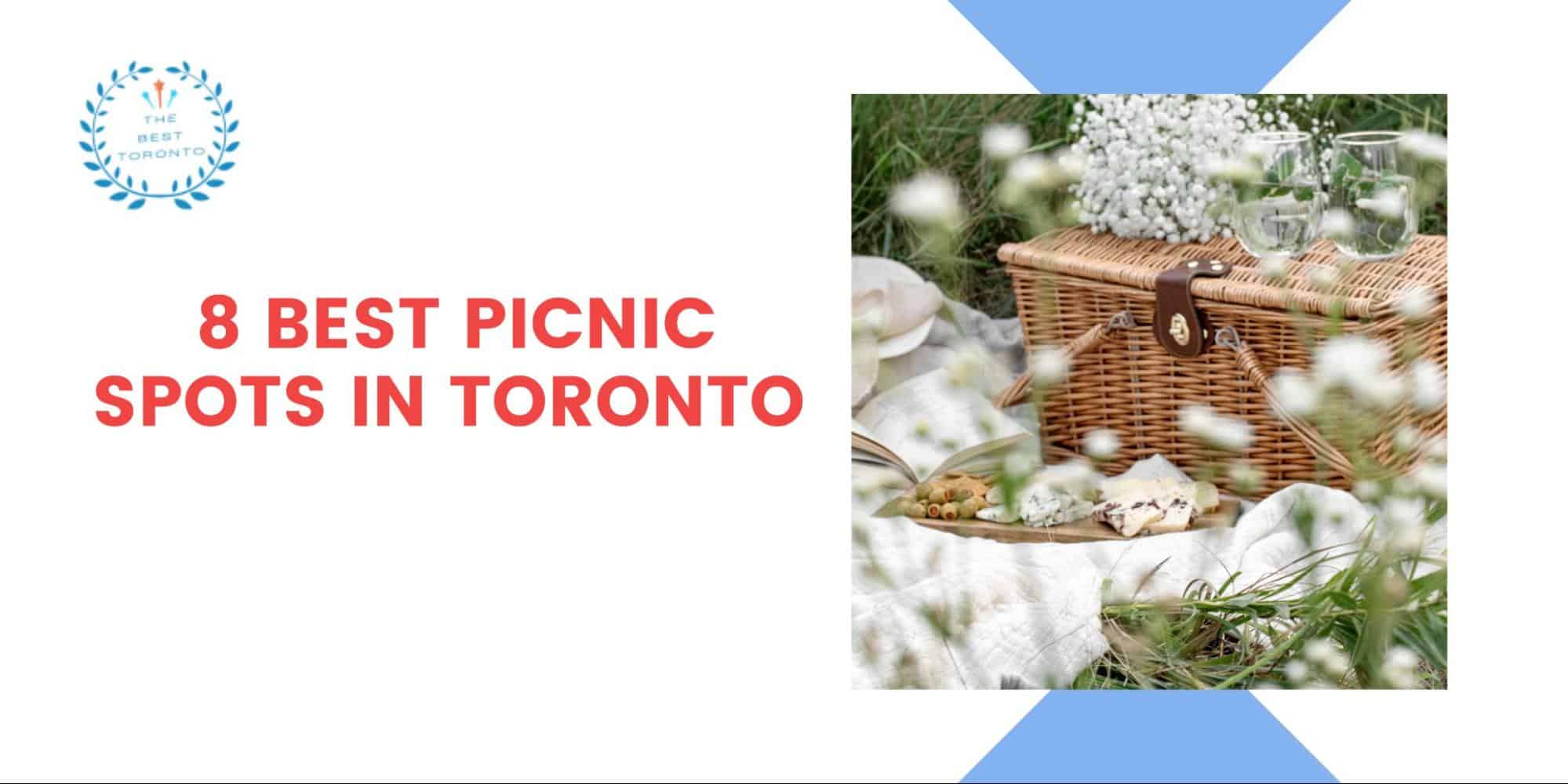 8 Best Picnic Spots in Toronto