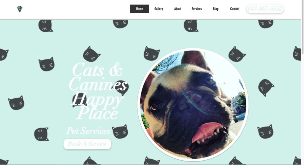 Cats and Canines Happy Place Homepage