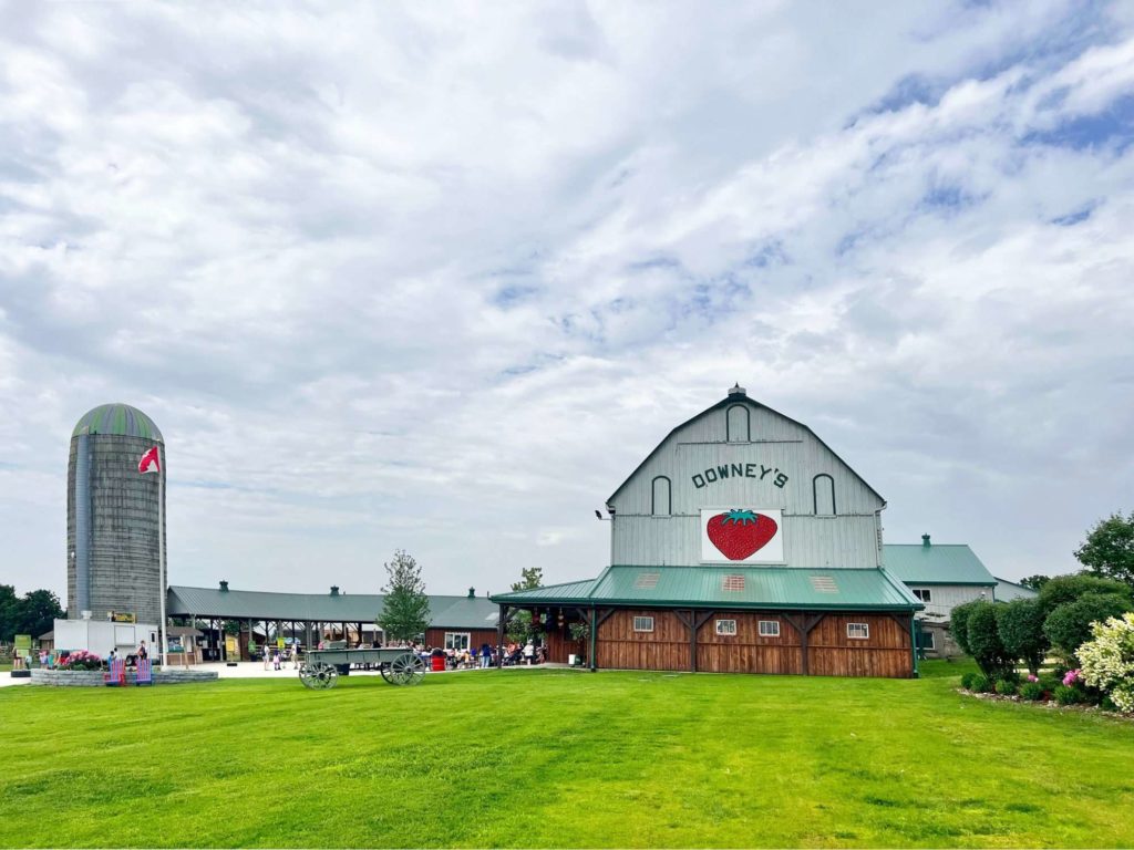 Downey’s Farm