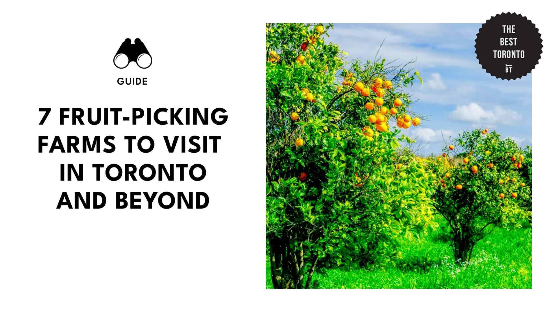 FRUITY FUN IN TORONTO AND BEYOND 7 FARMS OFFERING GREAT FRUIT-PICKING EXPERIENCES