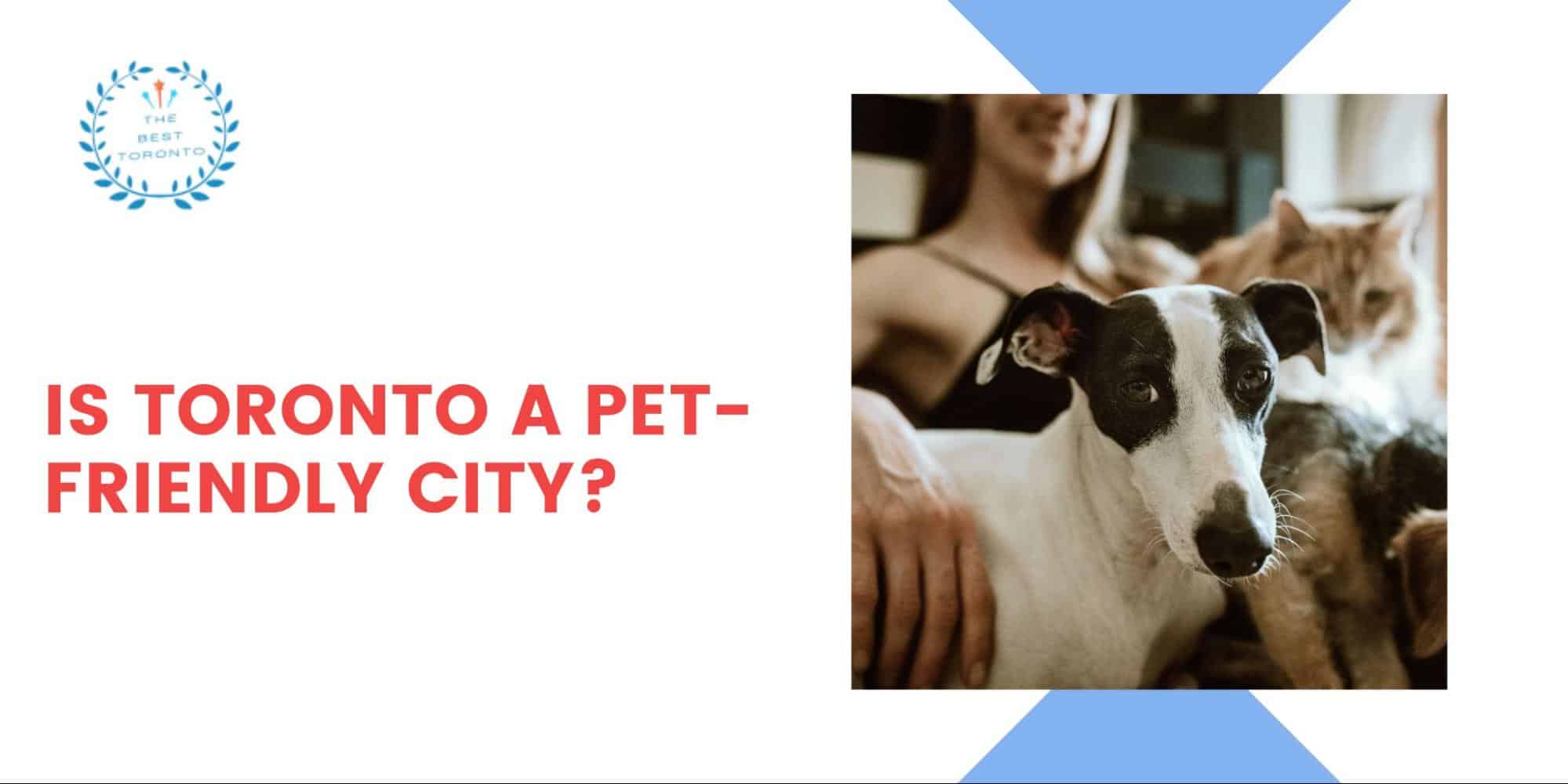 Is Toronto a Pet-Friendly City