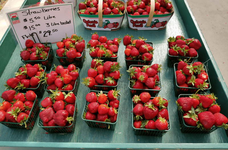 Linton’s Farm Market
