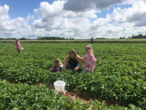 Reesor’s Farm
