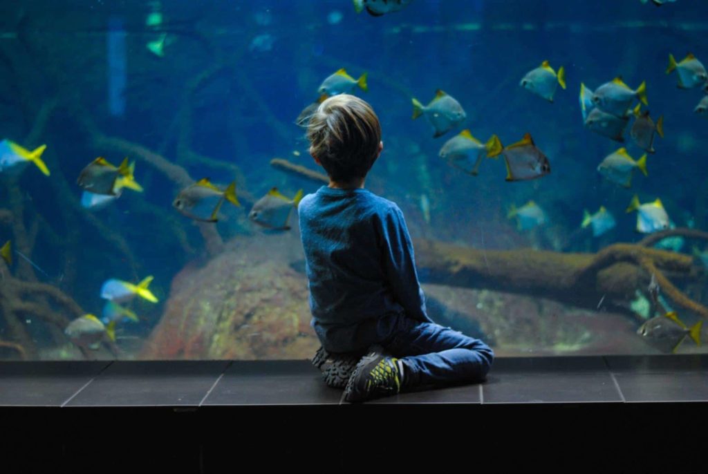 Ripley’s Aquarium