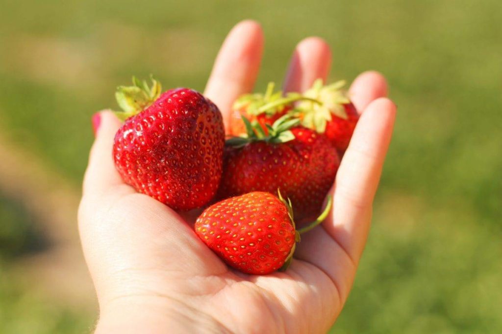 Robintide Farms