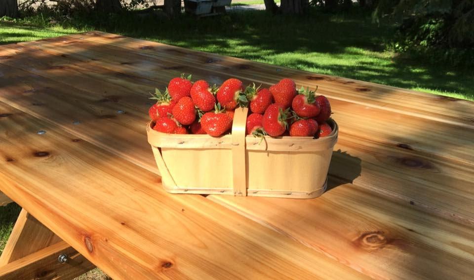 Trapper Bob Strawberry Farm