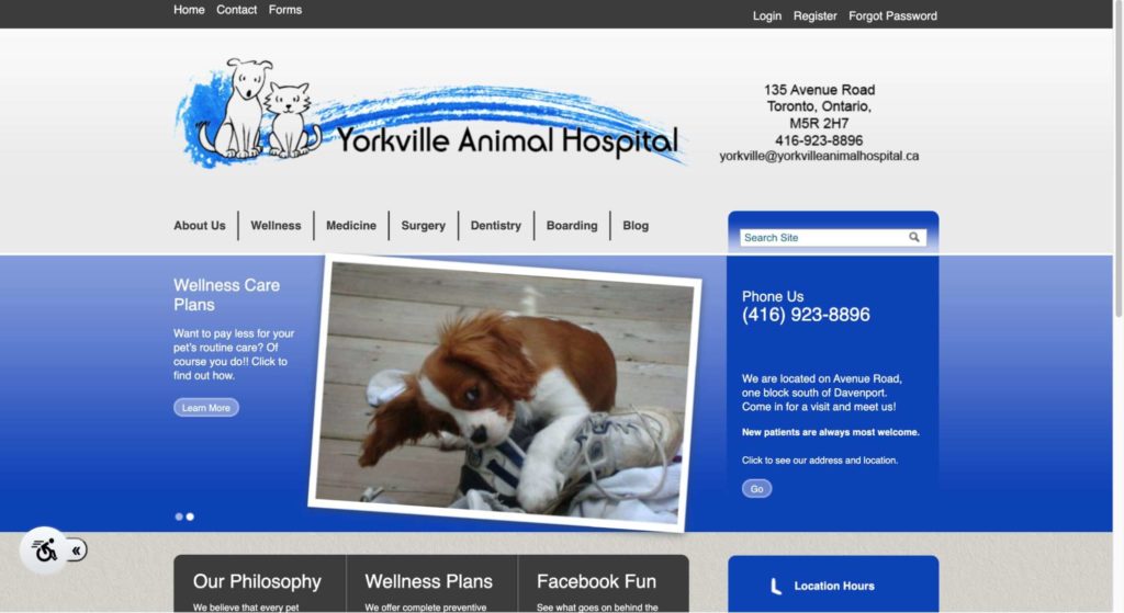 Yorkville Animal Hospital Homepage