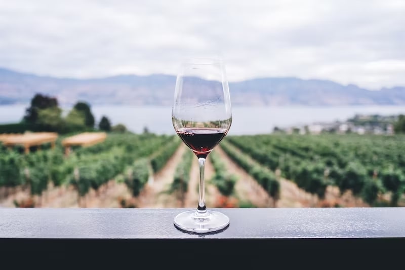 Toronto Wineries and Vineyards 101