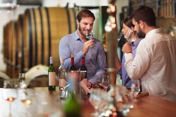 What do you need to know about wine tasting and wine tours in and near Toronto