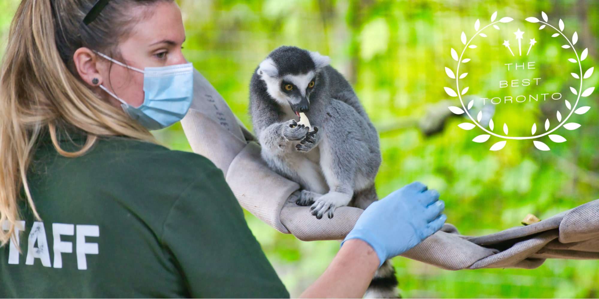 15 Best Zoos Animal Lovers Should Visit in Canada