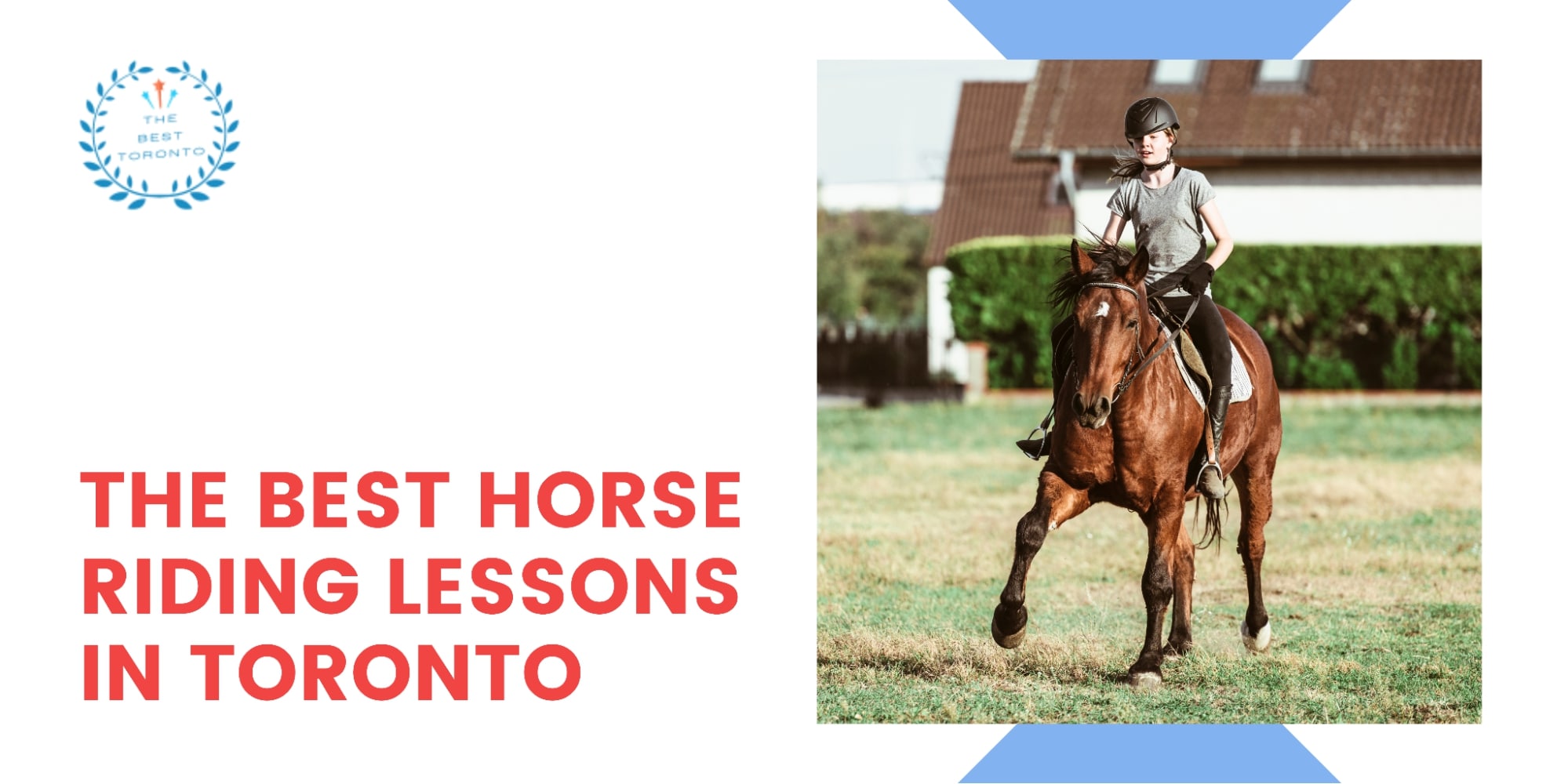 5 Best Horse Riding Lessons in Toronto