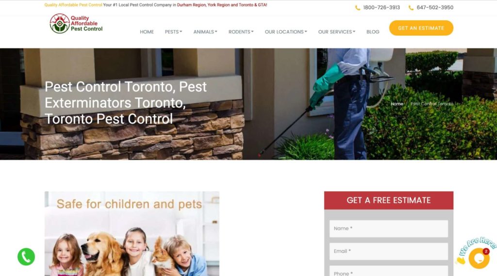Quality Affordable Pest Control Toronto's Homepage