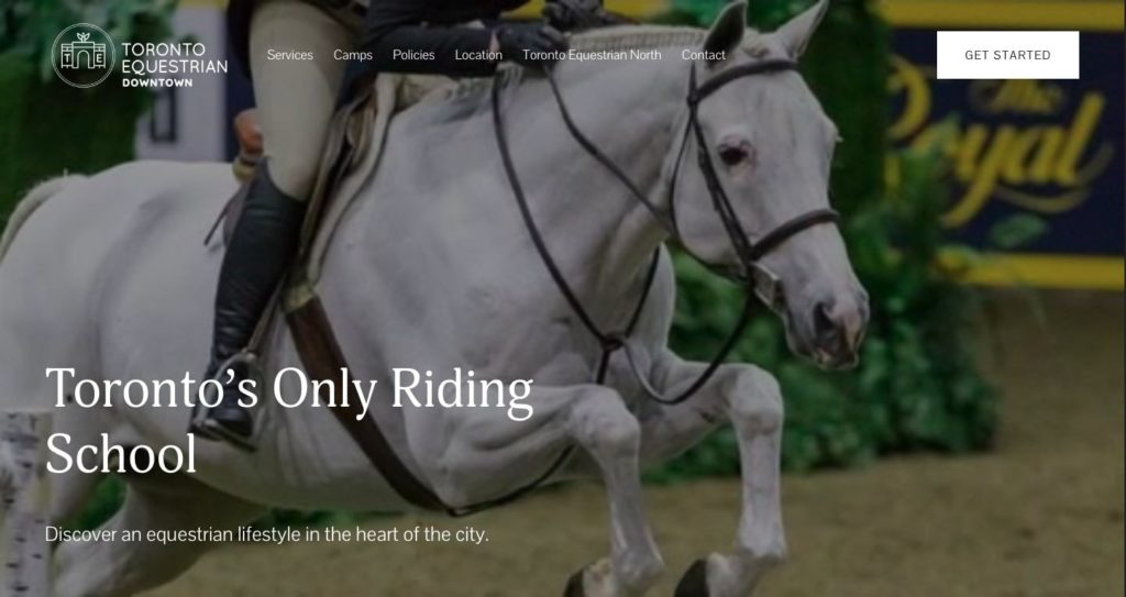 Toronto Equestrian Downtown's Homepage