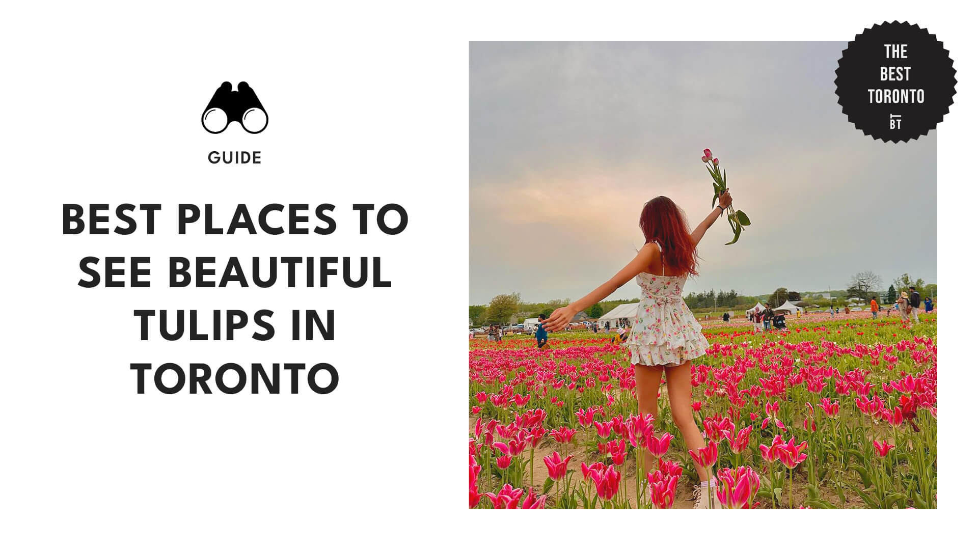 Best Places To See Beautiful Tulips
