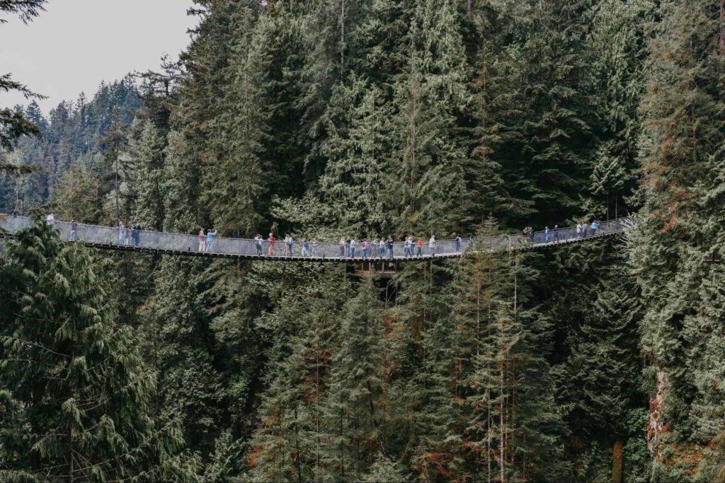 Capilano Suspension Bridge Park