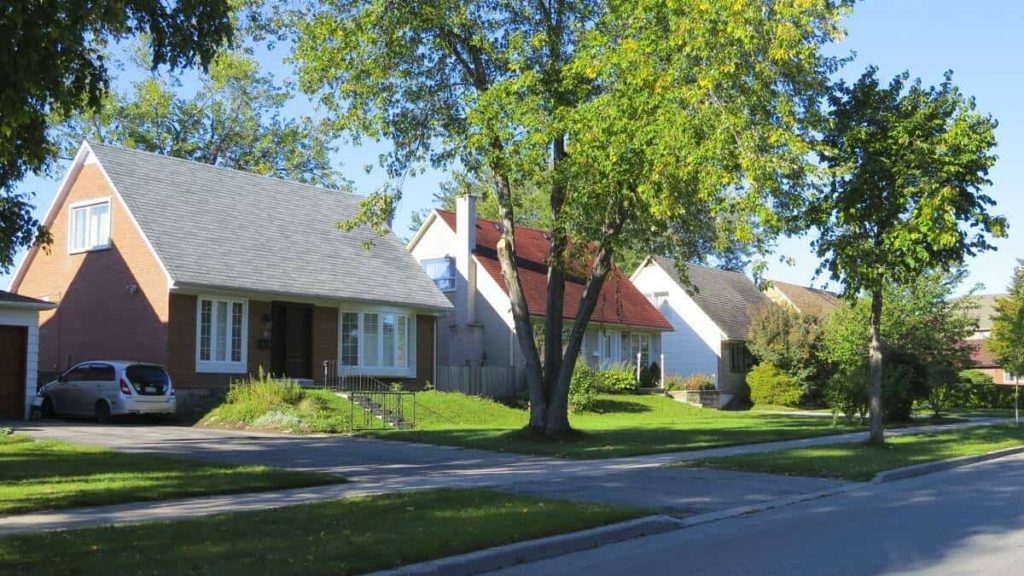 Don Mills