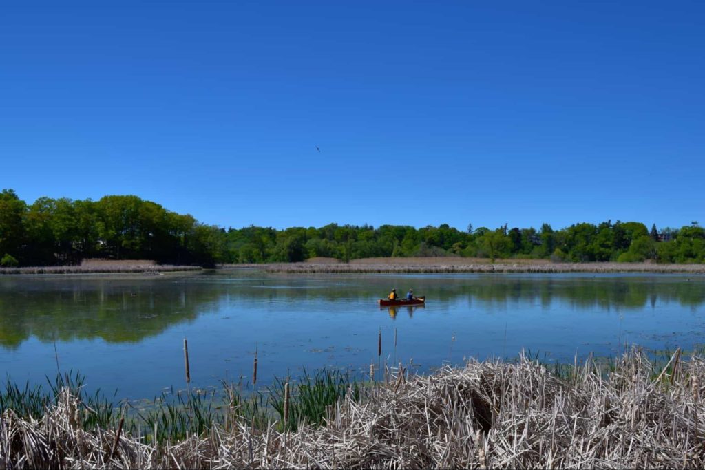 Explore Rouge Park.